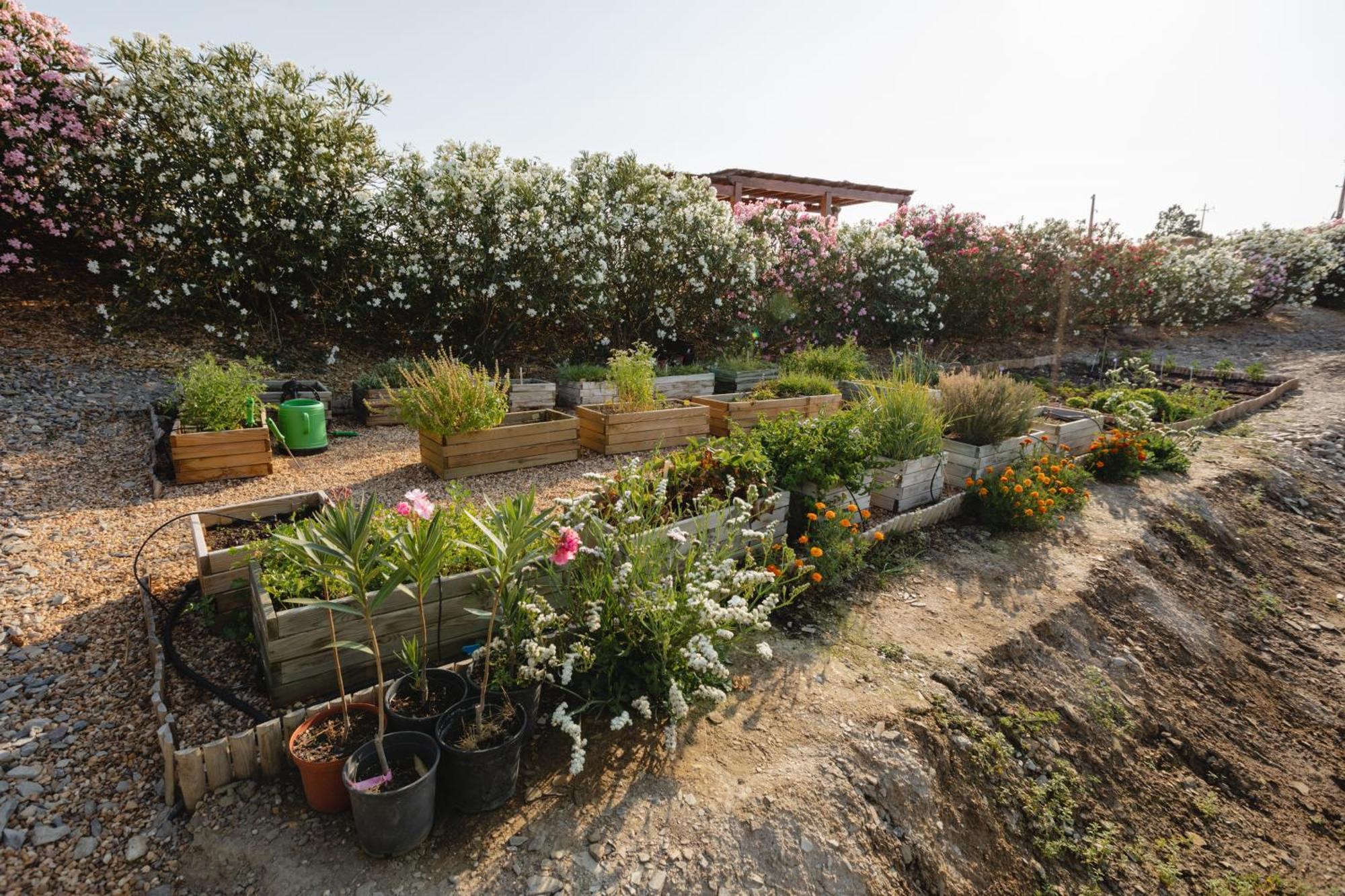 Monte Vale - Organic Farm Villa Entradas Bagian luar foto